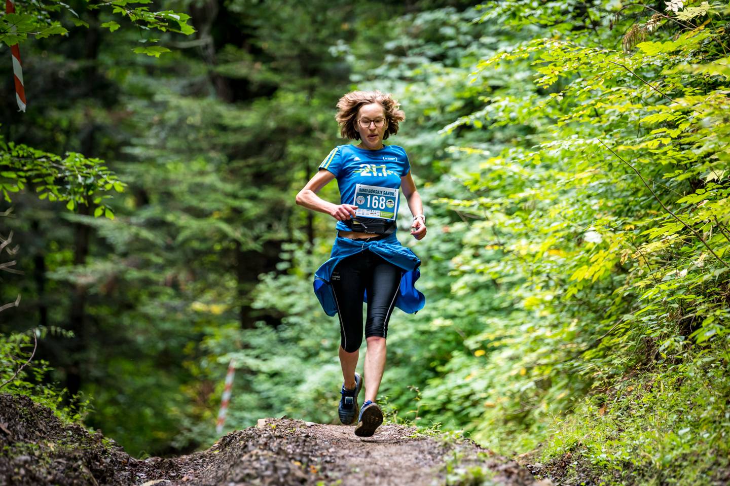 Lasy na Biegi Górskie Sanok