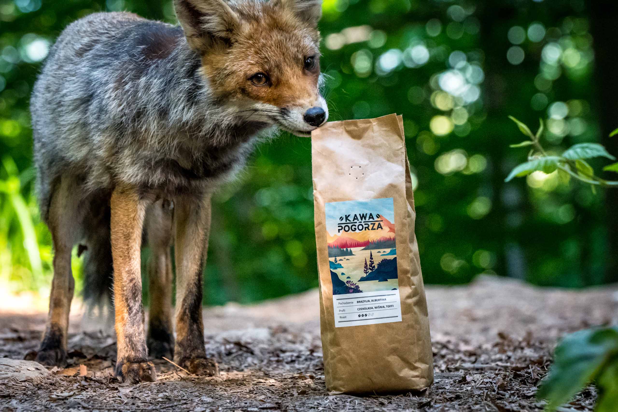 Kawa Pogórza - Natura wie co dobre